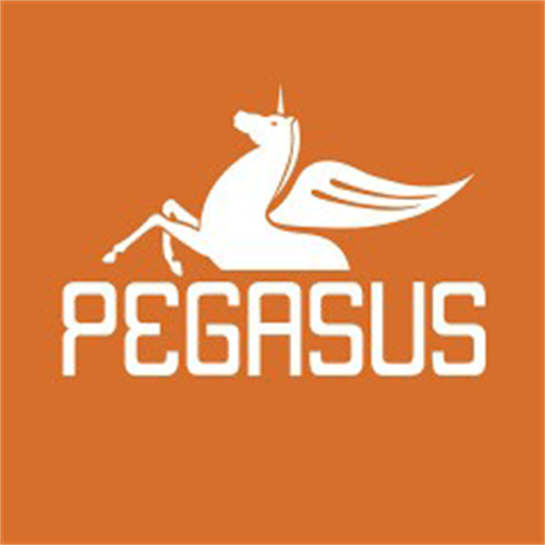 Pegasus Yaynlar