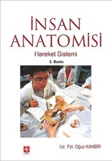 İnsan Anatomisi