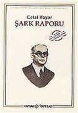 Şark Raporu