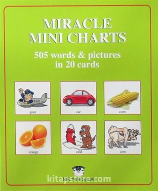 Miracle Mini Charts 505 Words In 20 Cards