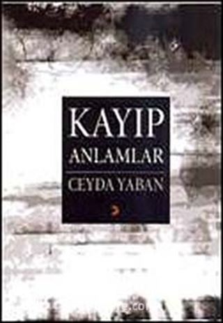 Kayıp Anlamlar