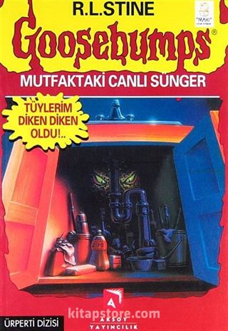 Mutfaktaki Canlı Sünger