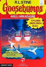 Akıllı Arkadaşım