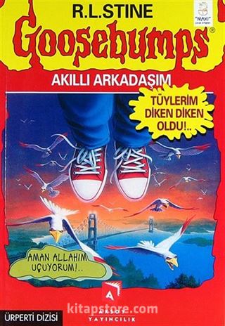 Akıllı Arkadaşım