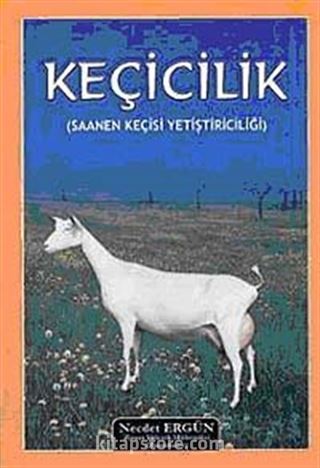 Keçicilik (Saanen Keçisi Yetiştiriciliği)