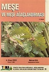 Meşe ve Meşe Ağaçlandırması