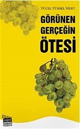 Görünen Gerçeğin Ötesi