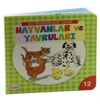 Hayvanlar ve Yavrusu / İlk Öğrendiklerim Dizisi