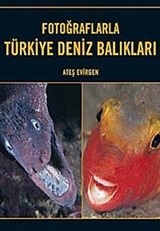 Fotoğraflarla Türkiye Deniz Balıkları