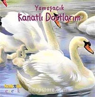 Yumuşacık Kanatlı Dostlarım