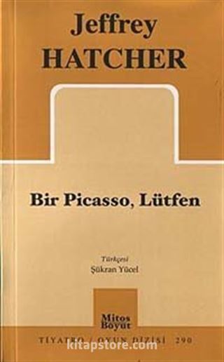 Bir Picasso, Lütfen