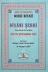 Divanı Şerhi