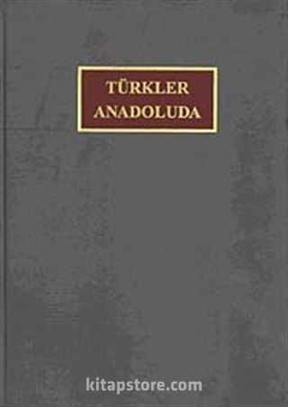 Türkler Anadolu'da