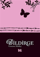 Bildirge