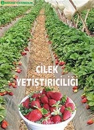 Çilek Yetiştiriciliği