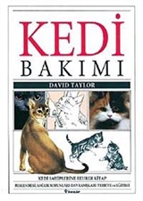 Kedi Bakımı