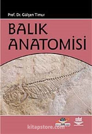 Balık Anatomisi