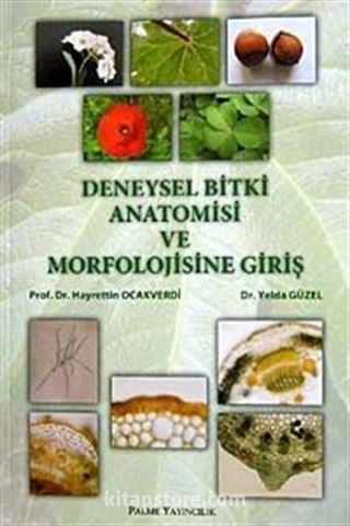 Deneysel Bitki Anatomisi ve Morfolojisine Giriş