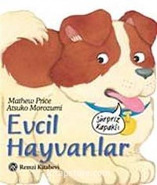 Evcil Hayvanlar / Sürpriz Kapaklı Dizi