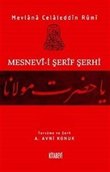 Mesnevi-i Şerif Şerhi 13