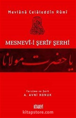 Mesnevi-i Şerif Şerhi 13