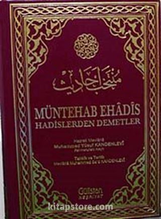 Müntehab Ehadis