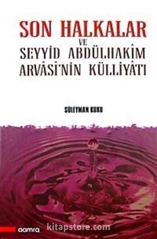 Son Halkalar ve Seyyid Abdülhakim Arvasi'nin Külliyatı (2 Cilt)