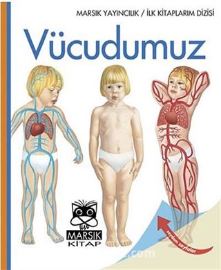 Vücudumuz / İlk Kitaplarım Dizisi