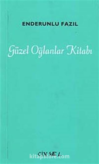 Güzel Oğlanlar Kitabı