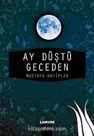 Ay Düştü Geceden