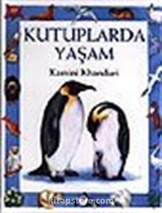 Kutuplarda Yaşam