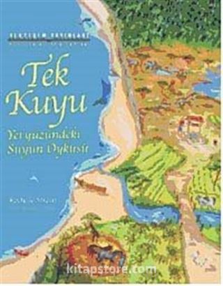 Tek Kuyu