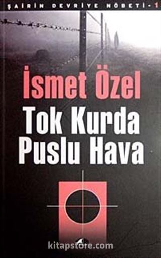 Tok Kurda Puslu Hava / Şairin Devriye Nöbeti-1