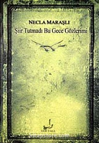 Şiir Tutmadı Bu Gece Gözlerimi