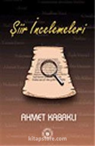 Şiir İncelemeleri