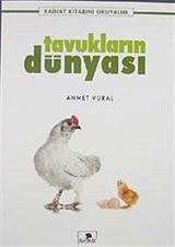 Tavukların Dünyası