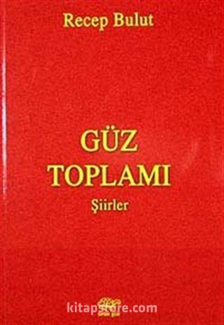 Güz Toplamı Şiirler