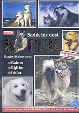 Sadık Bir Dost Köpek