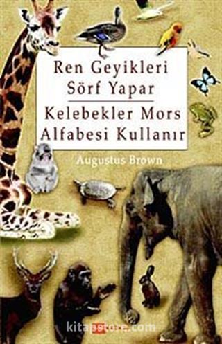 Ren Geyikleri Sörf Yapar Kelebekler Mors Alfabesi Kullanır