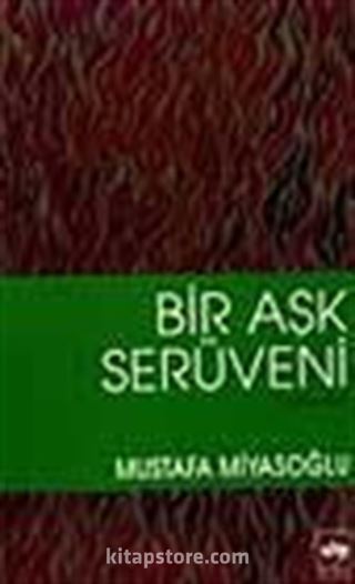 Bir Aşk Serüveni