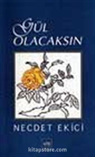 Gül Olacaksın