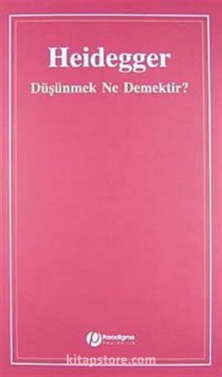 Düşünmek Ne Demektir?