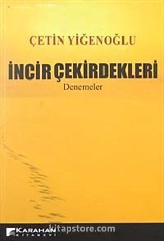 İncir Çekirdekleri-Denemeler