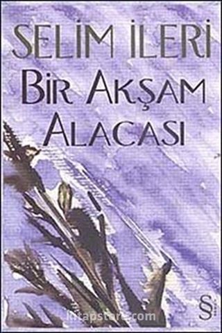 Bir Akşam Alacası