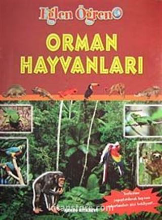 Orman Hayvanları / Eğlen Öğren