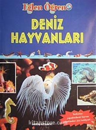 Deniz Hayvanları / Eğlen Öğren