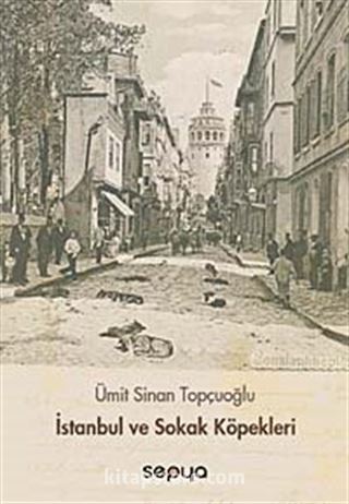 İstanbul ve Sokak Köpekleri