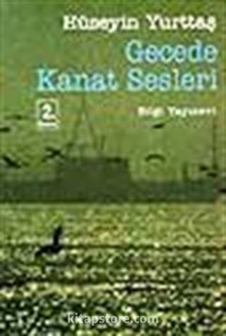 Gecede Kanat Sesleri