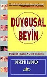 Duygusal Beyin