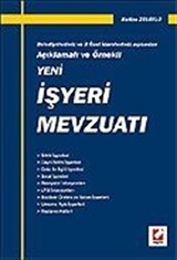 Yeni İşyeri Mevzuatı / Belediyelerimiz ve İl Özel İdarelerimiz Açısından Açıklamalı ve Örnekli